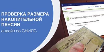 Инструкция по применению: как проверить пенсионные накопления по СНИЛС