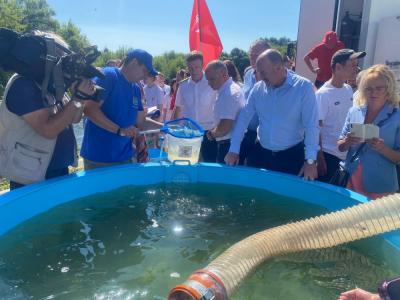 В Оку выпустили мальков стерляди и сазана