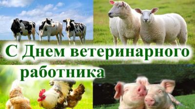 Поздравление с Днем ветеринарного работника!